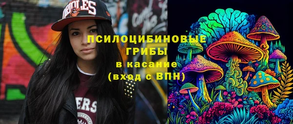 мяу мяу мука Абдулино