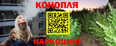 крисы Славянск-на-Кубани