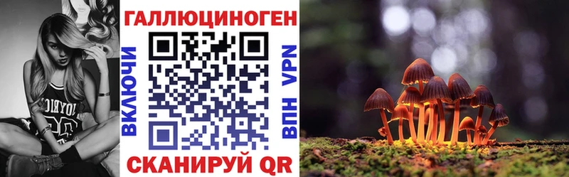 где купить   Нарьян-Мар  Галлюциногенные грибы Psilocybine cubensis 