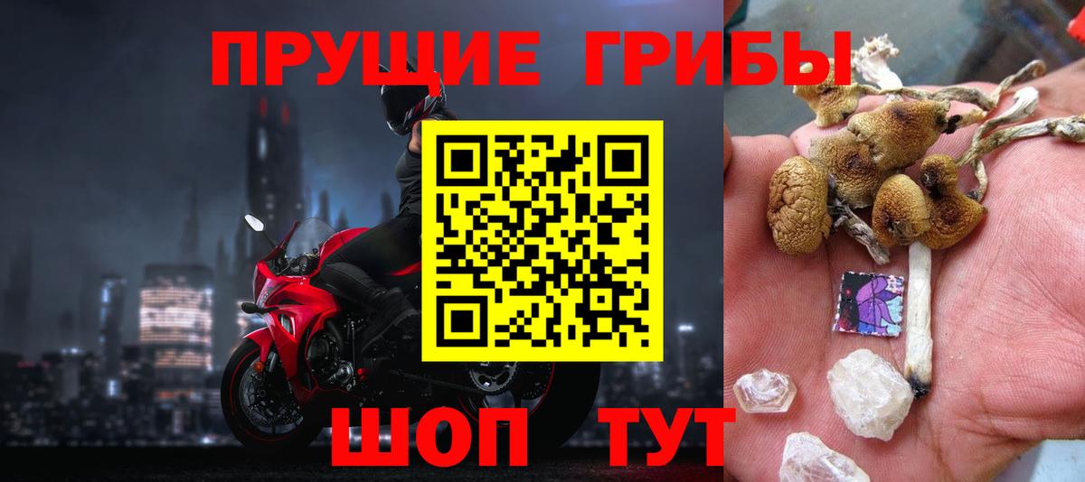 Галлюциногенные грибы MAGIC MUSHROOMS  Вход с VPN  Нарьян-Мар 